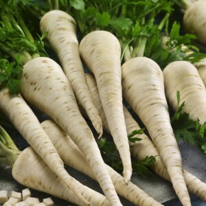 Nasiona Pietruszka Lenka 5g aromatyczny miąższ Premium Seeds Nasiona Pietruszka Lenka 5g aromatyczny miąższ Premium Seeds