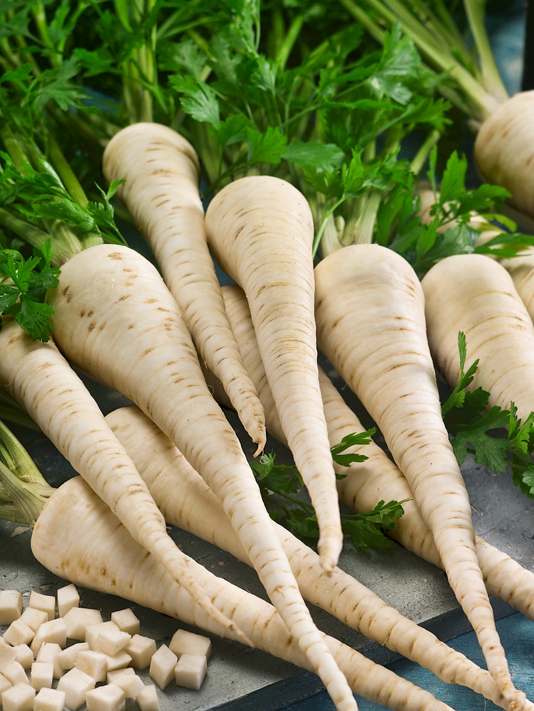 Nasiona Pietruszka Lenka 5g aromatyczny miąższ Premium Seeds Nasiona Pietruszka Lenka 5g aromatyczny miąższ Premium Seeds