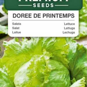 Nasiona Sałata Doree de Printemps 0,5 g Premium Seeds Nasiona Sałata Doree de Printemps 0,5 g Premium Seeds