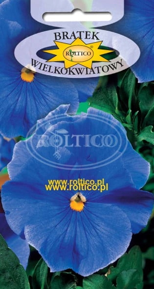 Nasiona Bratek niebieski 0,5 g Roltico Nasiona Bratek niebieski 0,5 g Roltico