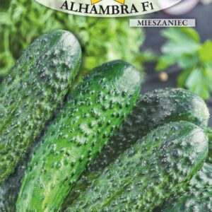 Nasiona Roltico ogórek gruntowy Alhambra 2 g Roltico Nasiona Roltico ogórek gruntowy Alhambra 2 g Roltico