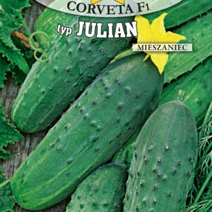 Ogórek gruntowy Corveta 3g mieszaniec F1 (typ Julian) Zaprawiane Roltico Ogórek gruntowy Corveta 3g mieszaniec F1 (typ Julian) Zaprawiane Roltico
