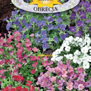 Żagwin Obrecja Mieszanka 0,3g Roltico Żagwin Obrecja Mieszanka 0,3g Roltico