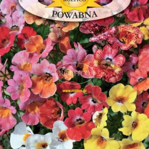 Nasiona nemezja powabna 0,3 g Roltico Nasiona nemezja powabna 0,3 g Roltico