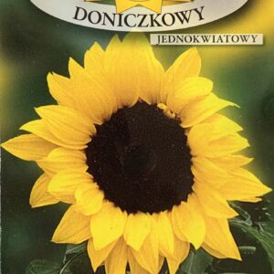 Słonecznik doniczkowy jednokwiatowy 1g Roltico Słonecznik doniczkowy jednokwiatowy 1g Roltico