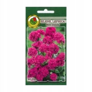 Nasiona SILENE Lepnica KARMINOWO-RÓŻOWE 0,5g PNOS Nasiona SILENE Lepnica KARMINOWO-RÓŻOWE 0,5g PNOS