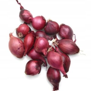 CEBULA DYMKA CZERWONA RED BARON 500g DO SADZENIA ŁAGODNA PÓŹNA CEBULA DYMKA CZERWONA RED BARON 500g DO SADZENIA ŁAGODNA PÓŹNA