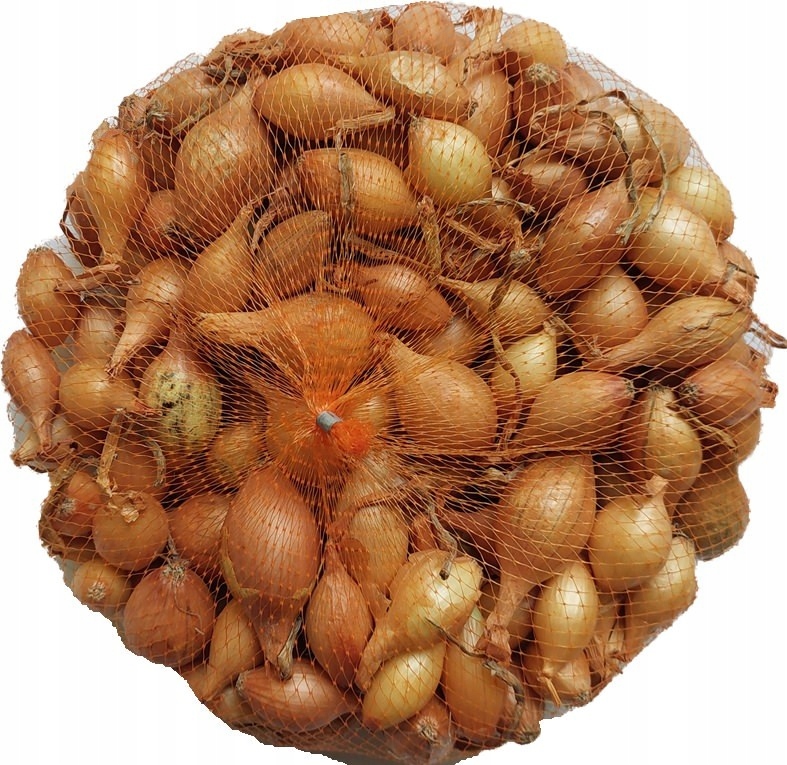Cebula dymka żółta Hercules 500 g GMF Cebula dymka żółta Hercules 500 g GMF