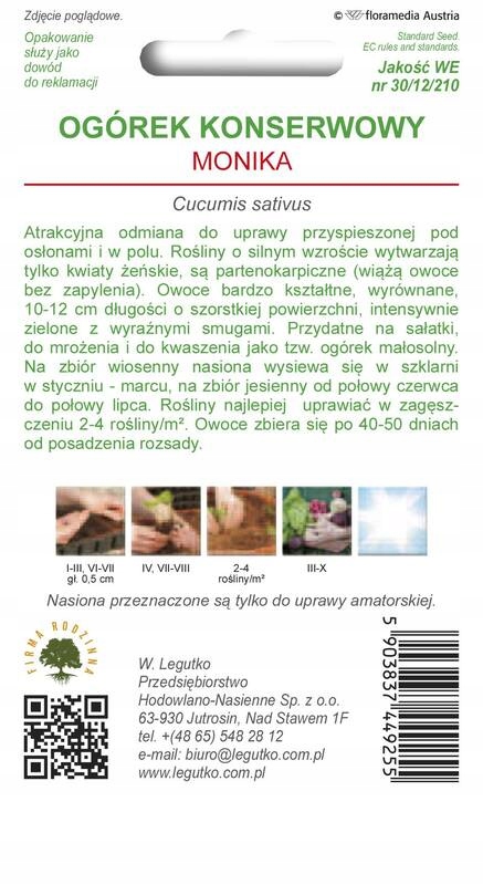 Nasiona ogórek konserwowy Monika 1 g Legutko Nasiona ogórek konserwowy Monika 1 g Legutko